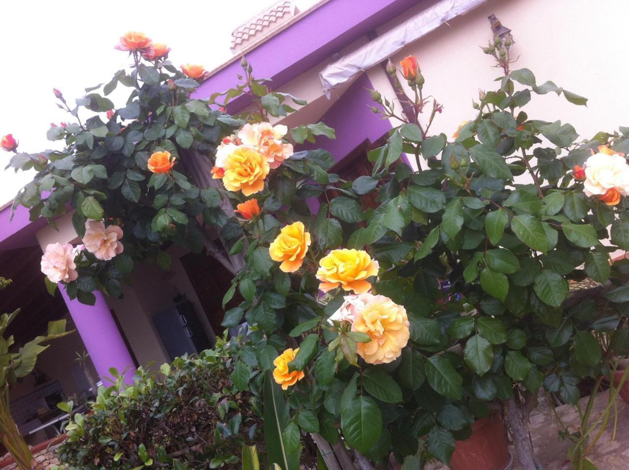 Casa Vacanze Surriano Sciacca Ngoại thất bức ảnh